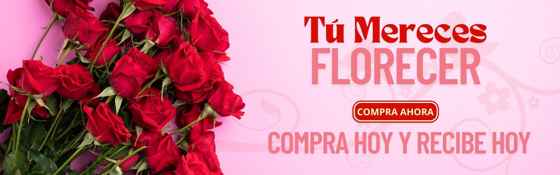 flores|flores manizales|entrega a domicilio